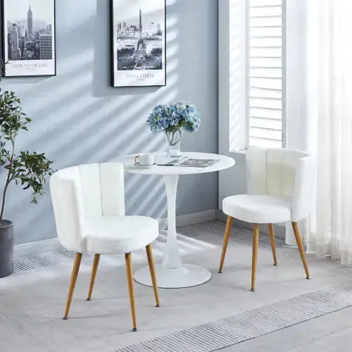 Modern White Dining Chair 2-piece Set A.H.S.STORE
