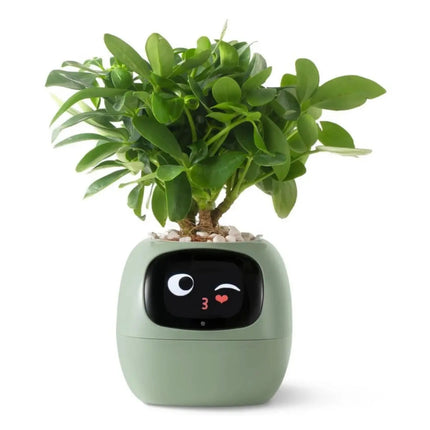 Smart AI Planter™ – Intelligent Self-Watering Pot with App Control A.H.S.TechGadgetsSTORE