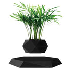 Black / Flowerpot