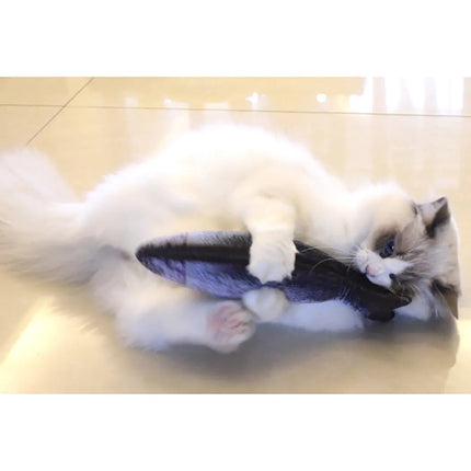 Creative Fish Shape Pet Toy A.H.S.TechGadgetsSTORE