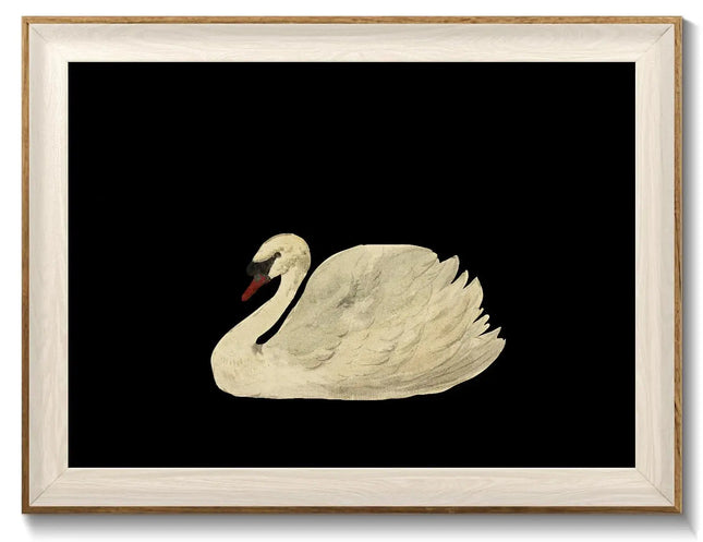 Framed Canvas Wall Art Swan Decor Vintage Wall Art Animal Oil Painting Bathroom Wall Decor Swan Vintage Art Prints for Wall Decor Vintage Home Decor for Living Room Bedroom Kitchen - 12x16 inches A.H.S.STORE